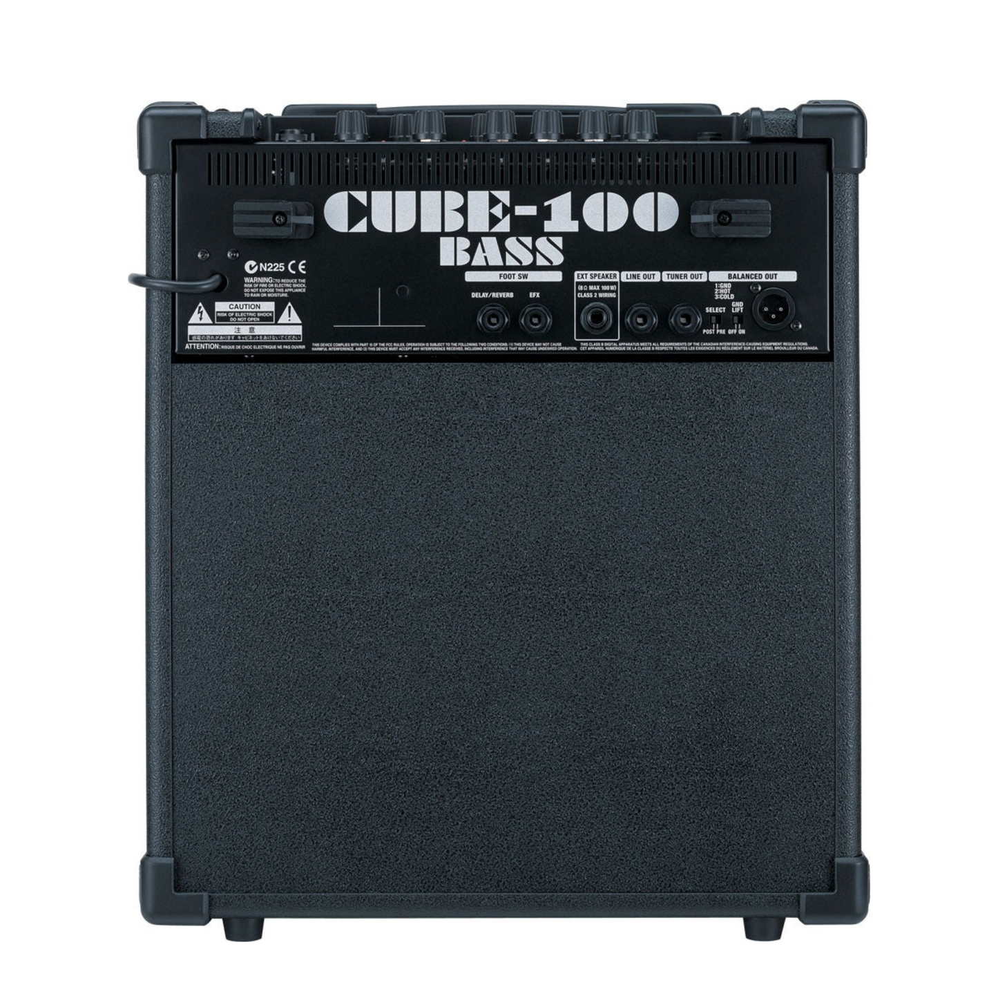 ROLAND - CUBE 100